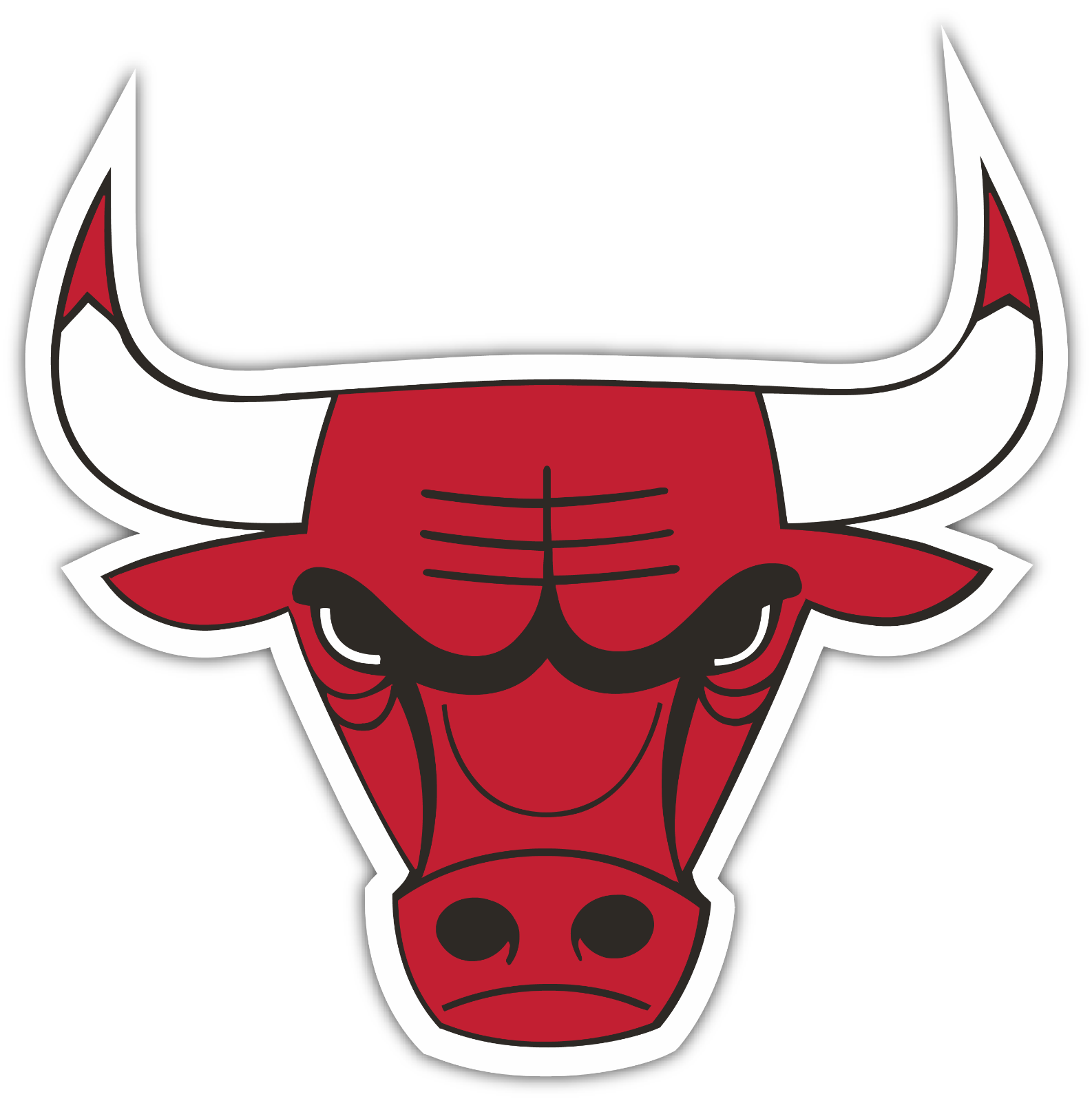Bulls