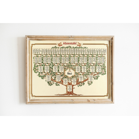 Ahnenforschungs Vordrucke: Schmuck-Ahnentafel 'Skizzierter Baum' für 6 Generationen | 70x50 cm | 190g/m²